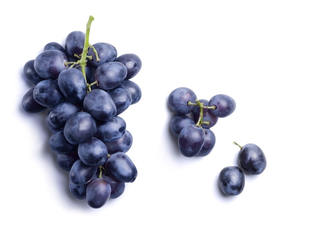 Foto racimo de uvas maduras azul oscuro aislado