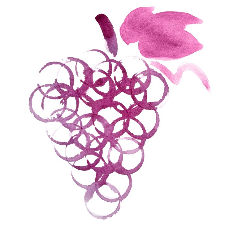 Foto racimo de uvas de manchas de vino tinto real aisladas sobre fondo blanco