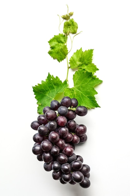 Racimo de uvas moradas con hoja de uva aislado sobre fondo blanco.