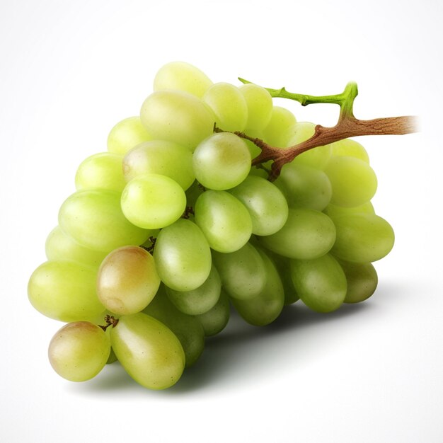 Un racimo de uvas verdes está sobre un fondo blanco.