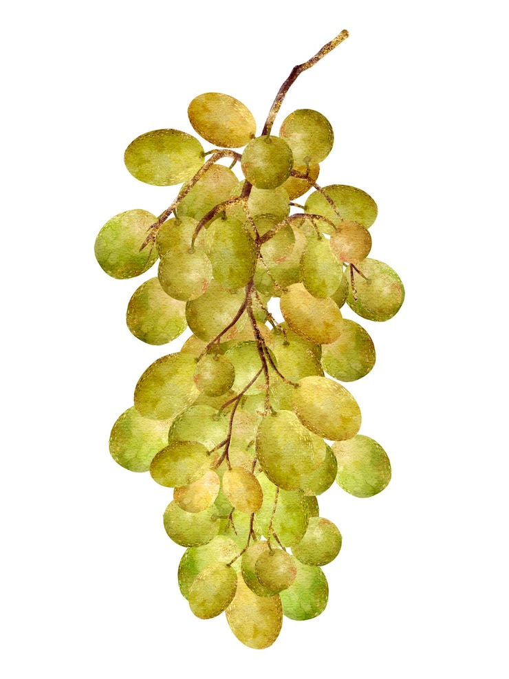 Foto un racimo de uvas verdes frescas bellamente dispuestas en una vid lista para disfrutar y saborear
