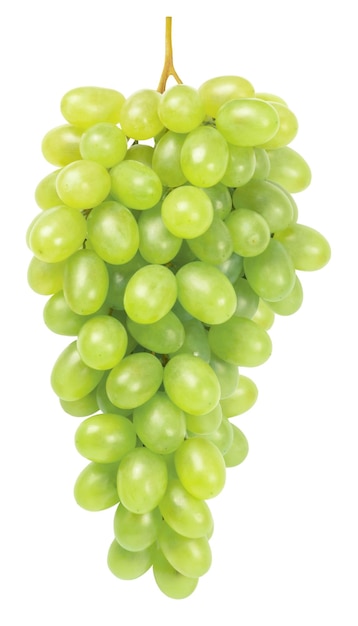 Un racimo de uvas verdes maduras sobre un fondo blanco.