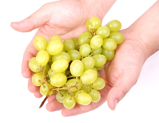 Racimo de uvas verdes en manos del hombre