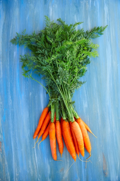 Racimo de zanahorias frescas con tallos y hojas