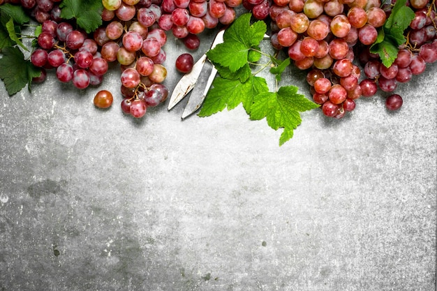 Racimos de uvas rojas con hojas sobre mesa de piedra.