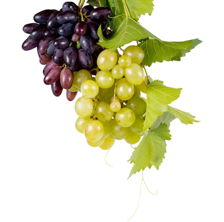 Foto racimos de uvas rojas y verdes maduras jugosas frescas