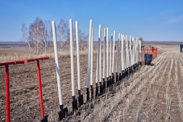 Rack con palas cerca de un campo árido antes de plantar árboles