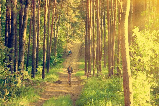 Radfahrer auf einem Waldweg