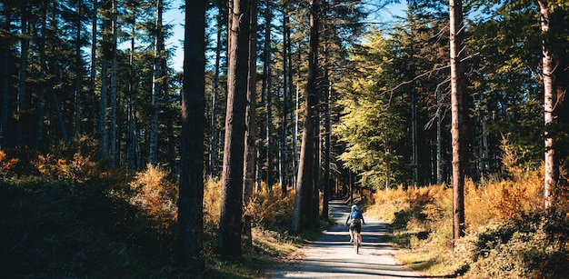 Radfahrer fährt mit dem Fahrrad auf einer Bergstraße