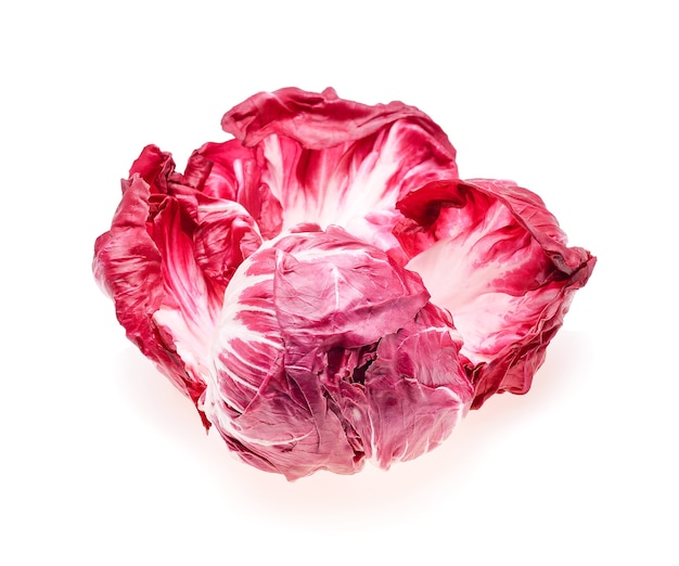 Radicchio, ensalada roja aislado sobre fondo blanco.