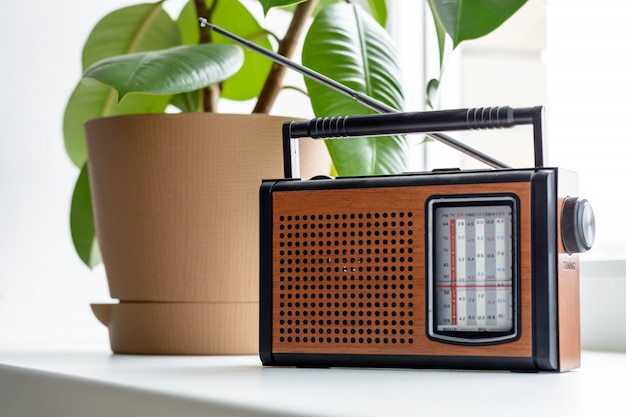 Rádio antigo vintage com pote marrom da árvore ficus em um peitoril da janela branca na sala