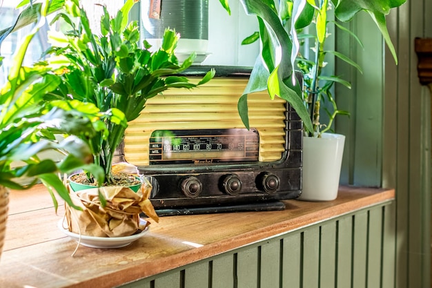Radio vieja en una ventana al lado de las plantas verdes