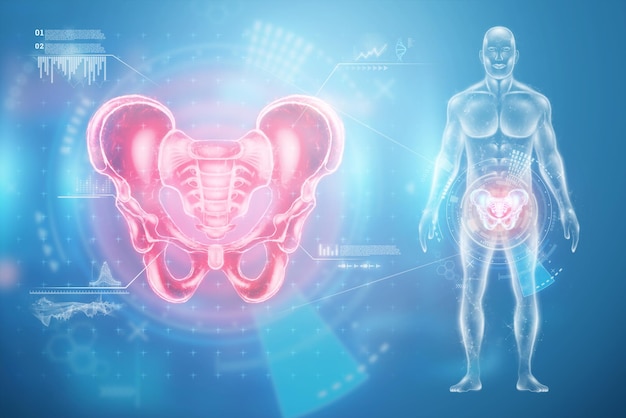 Radiografía del esqueleto de la articulación de la cadera de la pelvis de un paciente concepto médico Dolor pélvico fractura problemas articulares medios mixtos 3D render 3D ilustración