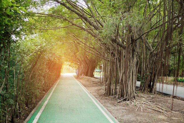 Radweg, Übung am Morgen, Park