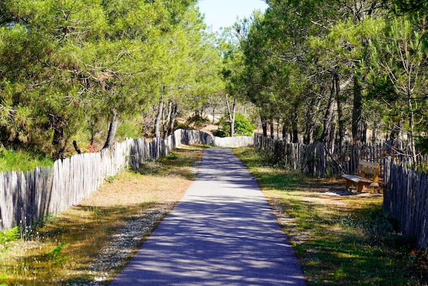 Radweg für Fahrräder, der in den Wald im Waldgartenpark eindringt