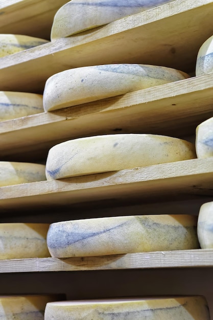 Räder alternder Käse auf Holzregalen im Reifekeller der Molkerei Franche Comte in Frankreich