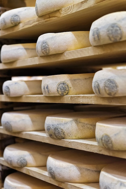 Räder der Reifung von Käse auf Holzregalen im Reifungskeller in der Molkerei Franche Comte in Frankreich