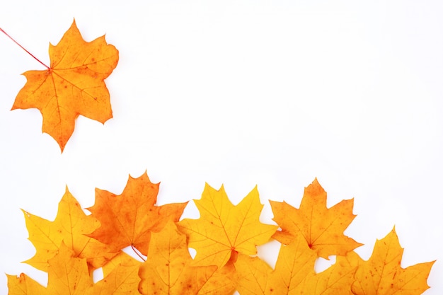 Rahmen auf einem weißen Hintergrund mit fallenden Herbst Ahornblatt