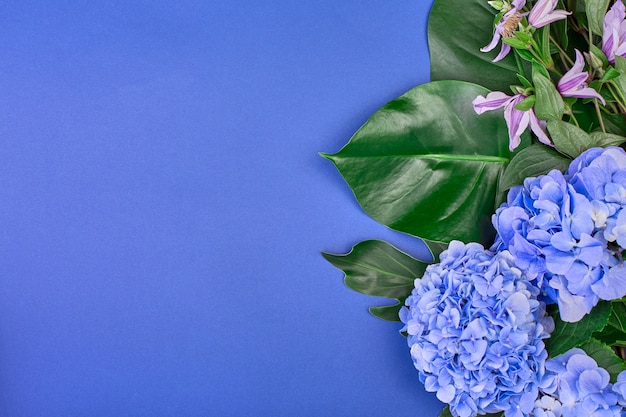 Rahmen aus blauer Hortensie und grünen Blättern auf blauem Raum. Flache Lage, Draufsicht. Hochzeitsraum