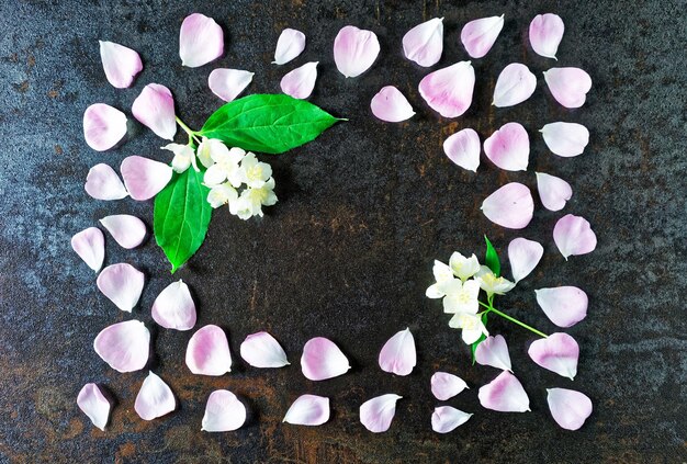 Rahmen aus Blütenblättern von rosa Teerosen und Jasminblüten auf dem Stein mit metallisiertem Hintergrund. Flach liegen.