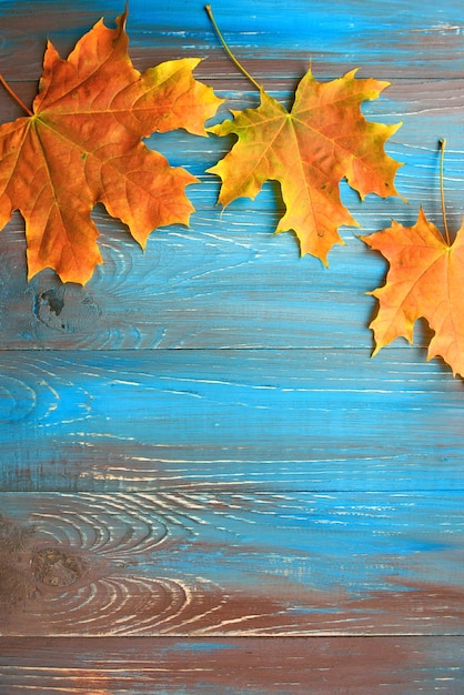 Rahmen aus bunten Herbstblättern auf blauem und braunem Holzhintergrund