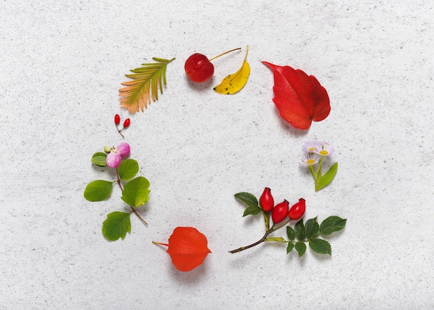 Rahmen aus einer Vielzahl von Herbstlaubbeeren und -blumen in Form eines Kreises