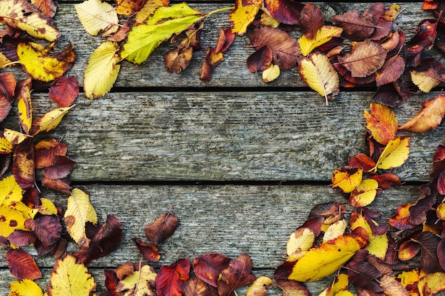 Rahmen aus herbstgetrockneten Blättern auf altem dunklem hölzernem Weinlesehintergrund, Scheunenbrett mit Moos. Herbst Hintergrundkomposition. Herbst, Kopierraum, flache Lage, Draufsicht.