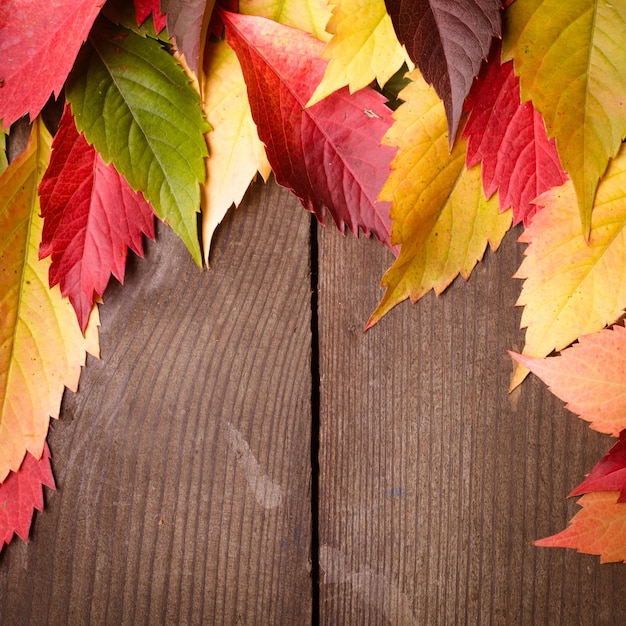 Rahmen aus Herbstlaub auf dem Holzhintergrund