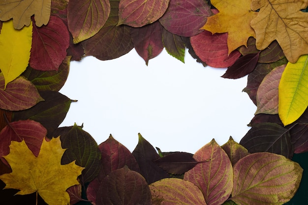 Rahmen aus Herbstlaub in verschiedenen Farben und Formen