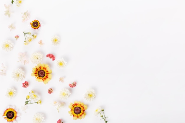 Rahmen aus kleinen Blumen und Gänseblümchen-Blumenarrangement