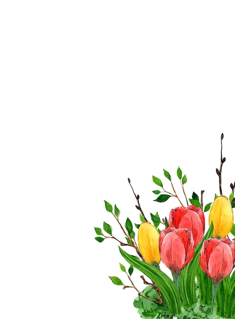 Rahmen aus roten und gelben Tulpen und Ästen mit jungen Blättern auf weißem Hintergrund Hand zeichnen Blumen Aquarellskizzen Rahmenvorlage für das Design von Verpackungsetiketten Botanische Illustration