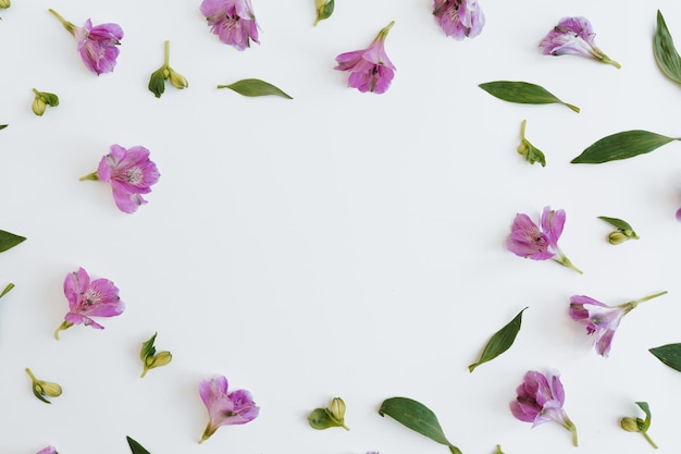 Rahmen aus violetten Blüten, Blättern und Blütenblättern auf weißem Hintergrund. Flache Draufsicht