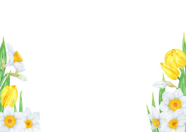 Rahmen aus weißer Narzisse, gelber Tulpe, Aquarell-Illustration von handgezeichnetem Aquarell der Narzisse