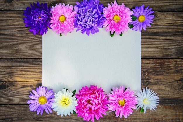 Rahmen der Blumen der Astern auf hölzernem Hintergrund