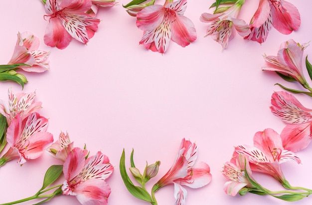 Rahmen für den Glückwunschtext mit Alstroemeria-Blüten auf rosa Hintergrund. Grußkarte mit natürlichen Farben. Hintergrund für Text mit Alstromeria. Flache Draufsicht