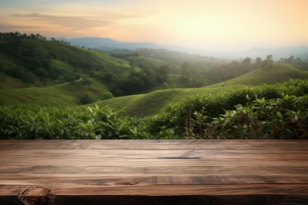 Rahmen-Natur-Hintergrundkonzept mit altem Holzschreibtisch oder Stumpf mit verschwommener Teeplantage gegen den Abendhimmel