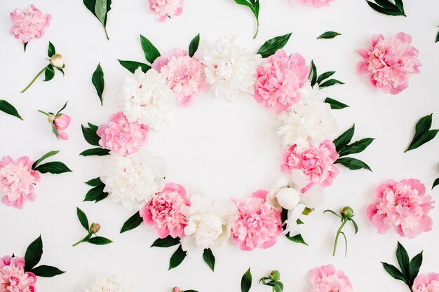 Rahmen von rosa Pfingstrosenblumen, Zweigen, Blättern und Blütenblättern auf Weiß