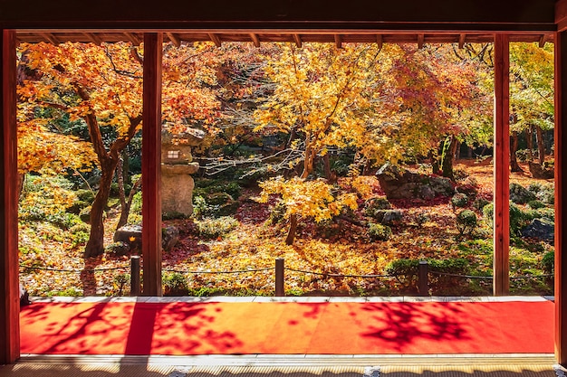 Rahmen zwischen Holzpavillon und schönem Ahornbaum im japanischen Garten und rotem Teppich im Enkoji-Tempel, Kyoto, Japan. Wahrzeichen und berühmt in der Herbstsaison