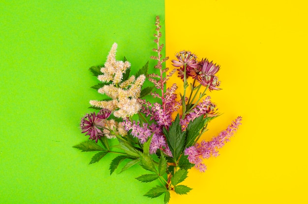 Rahmenmodell mit leuchtenden Gartenblumen auf gelbem Hintergrund. Studiofoto.