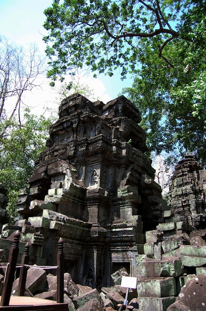 Raíces de árboles y ruinas antiguas edificio antiguo Prasat Ta Prohm o Ancestor Brahma templo de Angkor Wat para los camboyanos viajeros visitan respeto rezando en Angkor Thom en Siem Reap Camboya