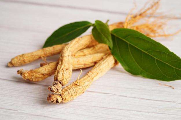 Raíces de ginseng y alimentos saludables de hoja verde