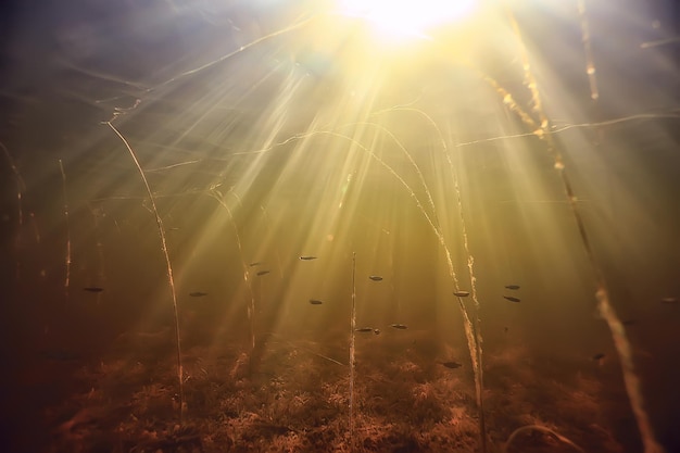 Foto raios de luz subaquáticos lago fresco, fundo abstrato natureza paisagem sol água