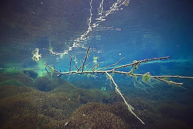 Foto raios de luz subaquáticos lago fresco, fundo abstrato natureza paisagem sol água