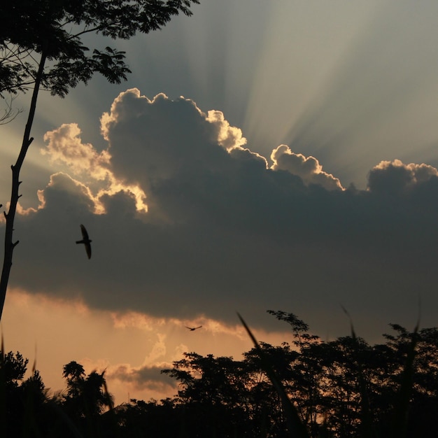 Raios incríveis de luz do nascer do sol