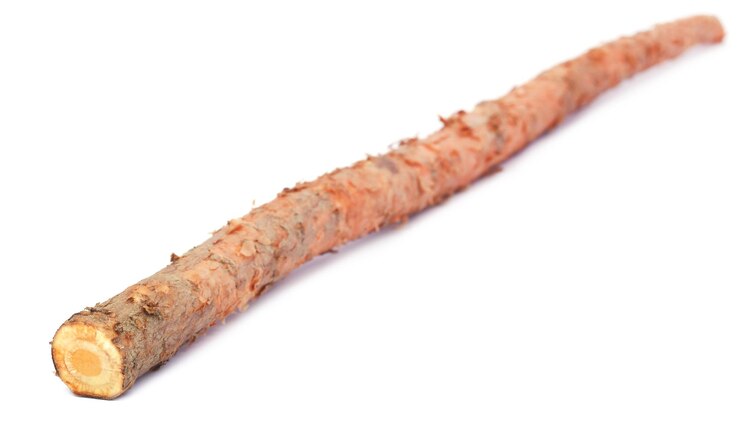 Foto raiz da árvore bomax usada como tratamento ayurvédico