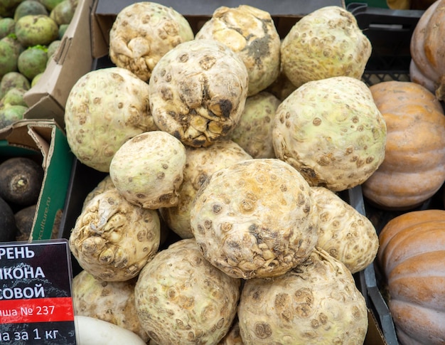 Raiz de aipo no balcão Loja de legumes Venda de produtos da fazenda Produtos contendo vitaminas