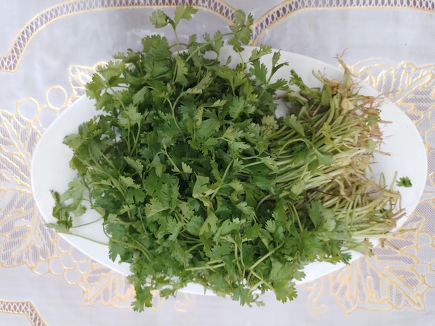 Foto raíz de jengibre fresca en una olla blanca en la mesa