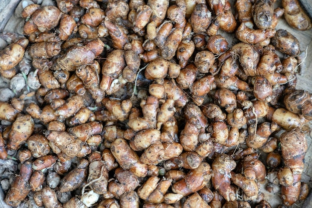 Raíz de jengibre para vender en el mercado callejero en la isla de Ubud, Bali, Indonesia, primer plano