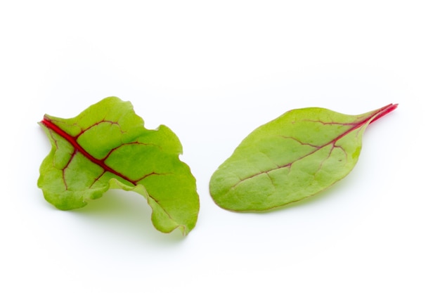 Raíz de remolacha de hoja fresca aislada sobre fondo blanco.