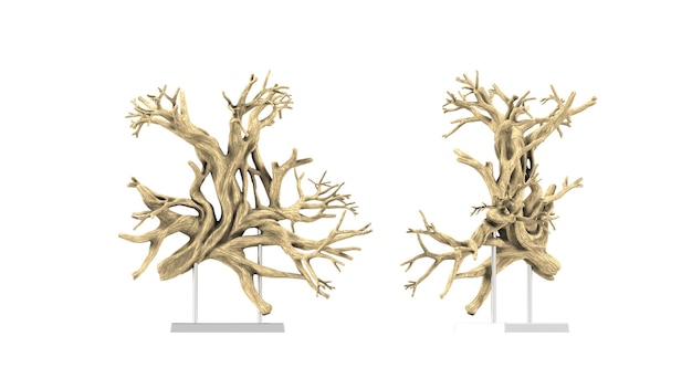 Raízes de árvores de madeira de renderização 3D e galhos de árvores são como galhos Item de peça de exibição - Decoração de casa